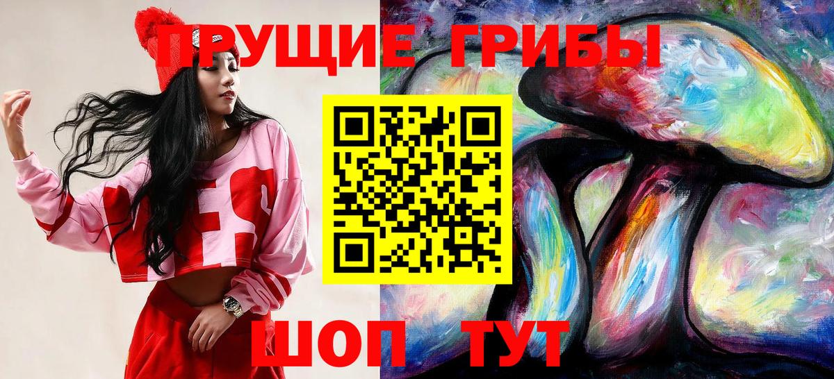 Галлюциногенные грибы Magic Shrooms  Вход с VPN  Кинель  Галлюциногенные грибы Psilocybe 