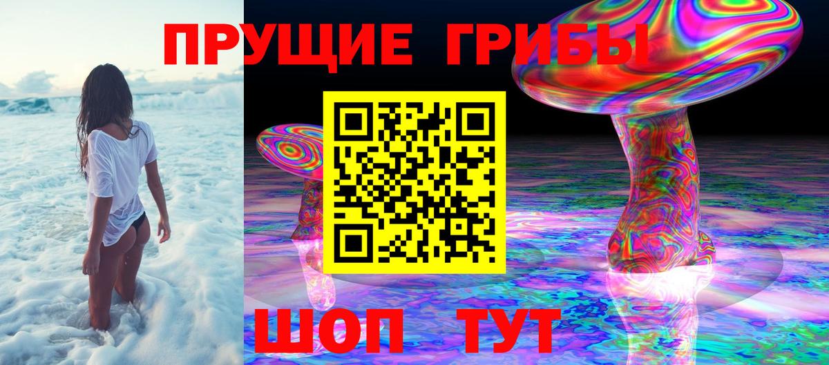 Псилоцибиновые грибы MAGIC MUSHROOMS Кинель